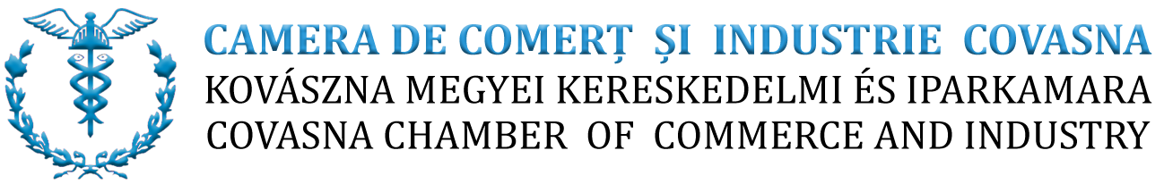 Certificate de excelenta Certificate